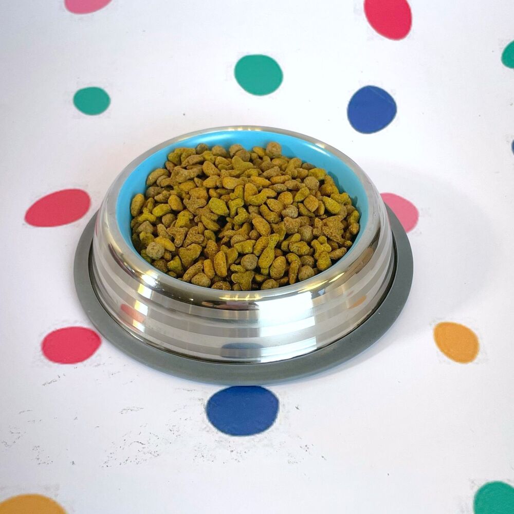 Kit 2 Comedouros Inox Premium Azul 210ml com Base de Silicone Cães e Gatos