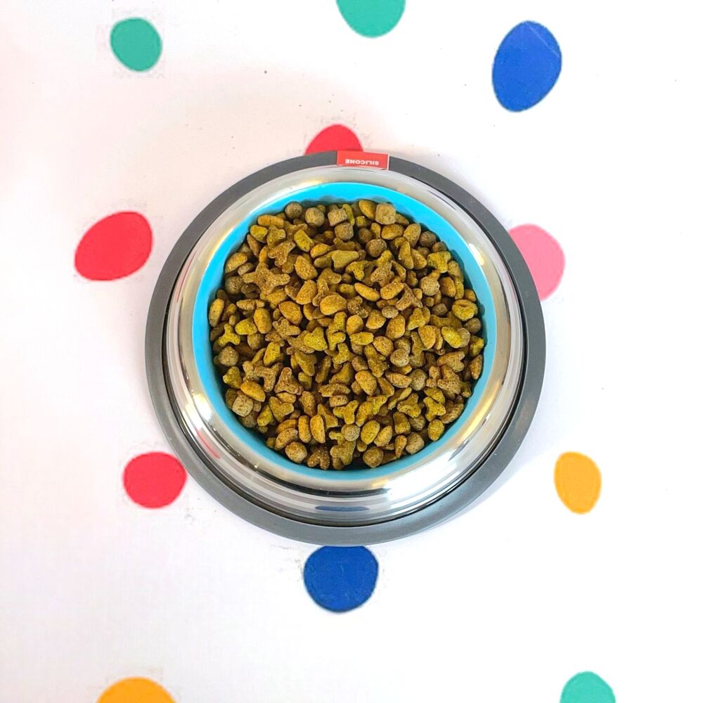 Kit 2 Comedouros Inox Premium Azul 210ml com Base de Silicone Cães e Gatos